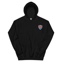 Load image into Gallery viewer, Embroidered Hoodie
